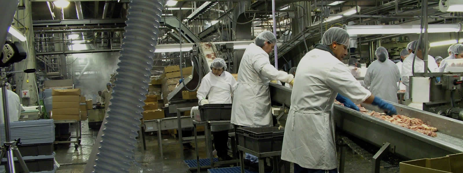 Poultry Feeds America Contact Us